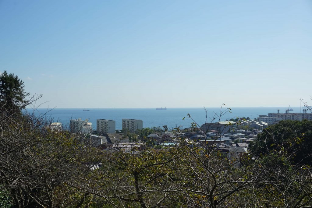 🌳 시라노에 식물공원 이미지 5